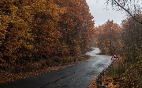 Об осадках на федеральной трассе М-4 «Дон» предупредили водителей