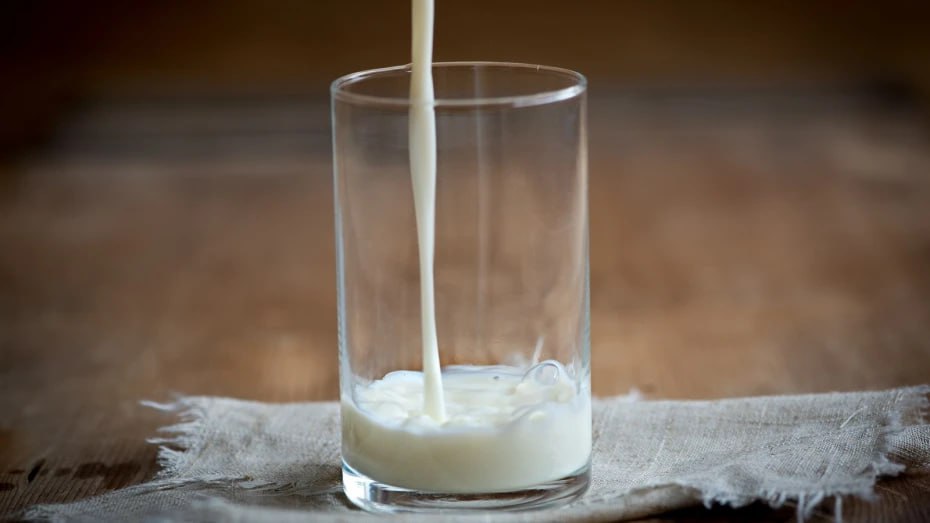 В Воронежской области изъяли 142 кг опасной молочной продукции