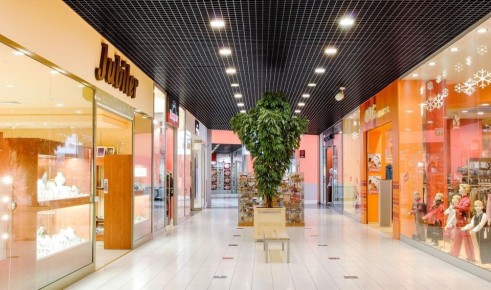 Новая эпоха: минимализм и осознанное потребление как стиль жизни в современном обществе