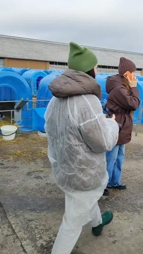 Милее вы сегодня ничего не увидите