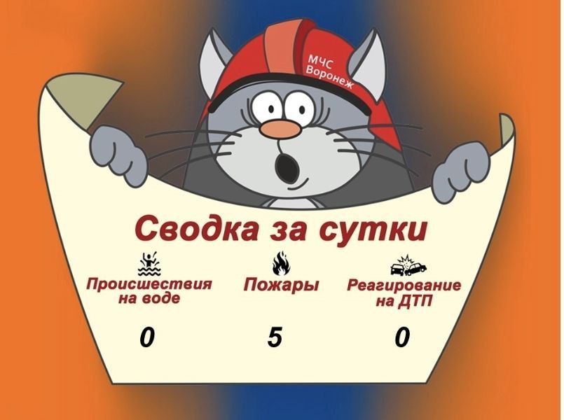 Оперативная сводка за сутки