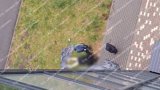 В микрорайоне Шилово утром 31 октября обнаружили труп