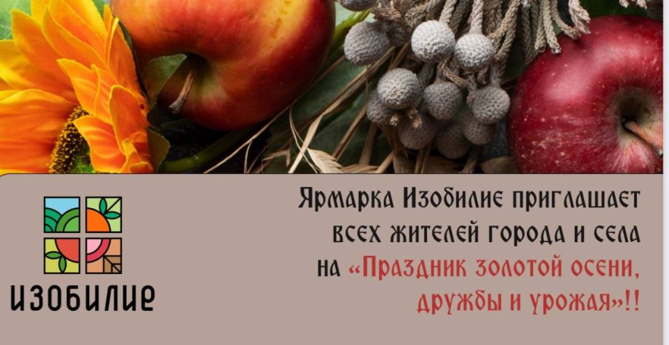 Праздник единства и изобилия на продовольственной ярмарке