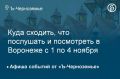 Куда сходить, что послушать и посмотреть в Воронеже с 1 по 4 ноября