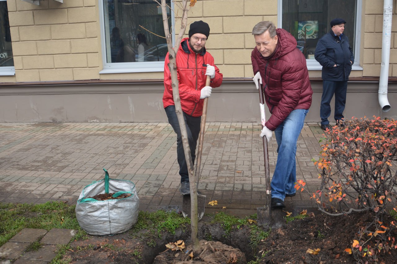 Депутаты Воронежской гордумы высадили клены в преддверии Дня народного единства Депутаты Воронежской гордумы высадили клены в преддверии Дня народного единства