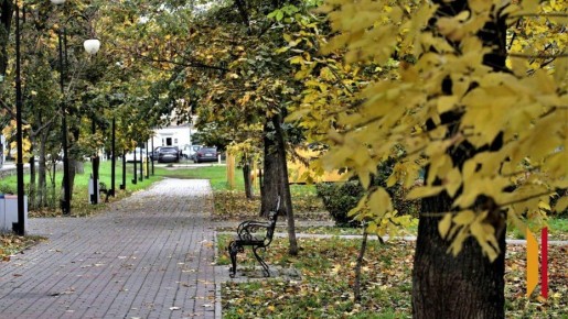 Главный метеоролог Воронежской области рассказал, каким будет ноябрь