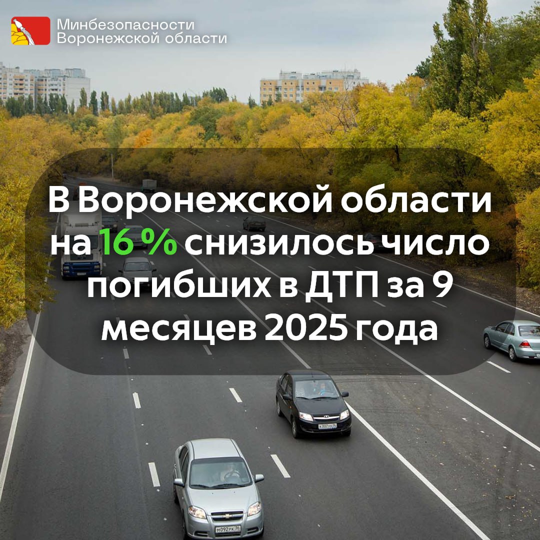 В Воронежской области на 16 % снизилось число погибших в ДТП за девять месяцев 2025 года