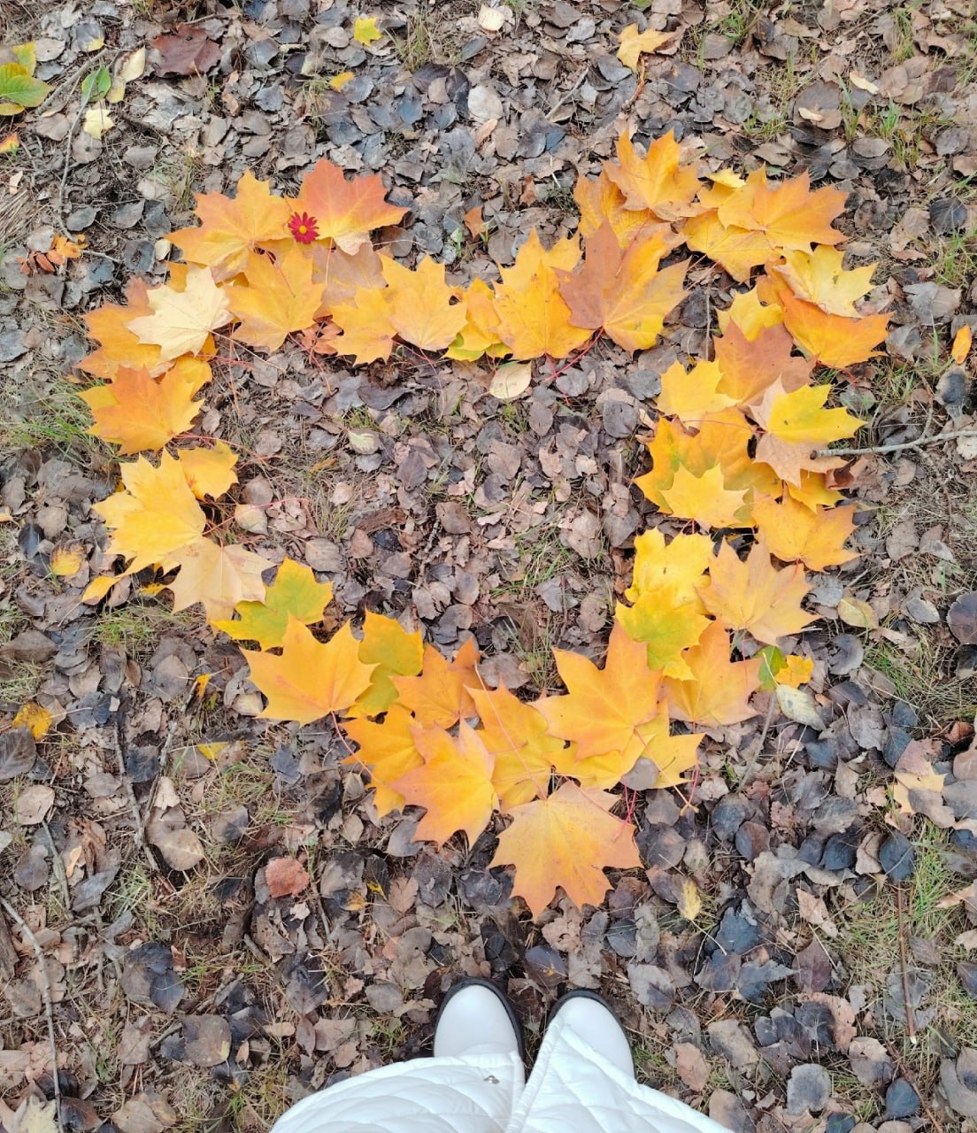 Друзья, напоминаем о фотоконкурсе "Золотая осень Воронежа" Друзья, напоминаем о фотоконкурсе "Золотая осень Воронежа"
