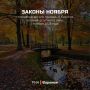 Обзор РИА «Воронеж». Какие законы вступают в силу в ноябре 2025 года