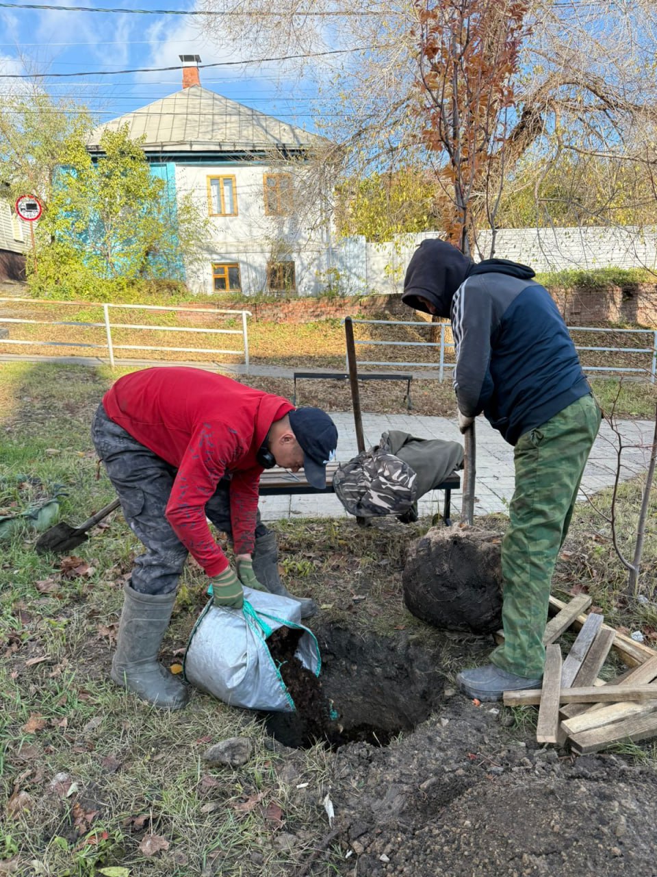 В Воронеже продолжается высадка растений В Воронеже продолжается высадка растений