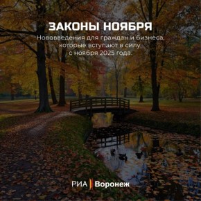 Обзор РИА «Воронеж». Какие законы вступают в силу в ноябре 2025 года