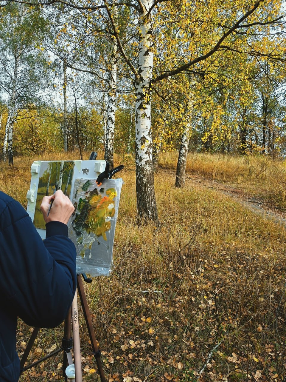 Друзья, напоминаем о фотоконкурсе "Золотая осень Воронежа" Друзья, напоминаем о фотоконкурсе "Золотая осень Воронежа"