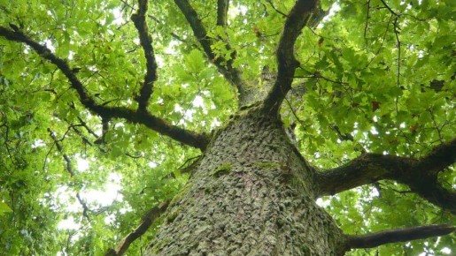 Воронежцу выплатили 450 тыс