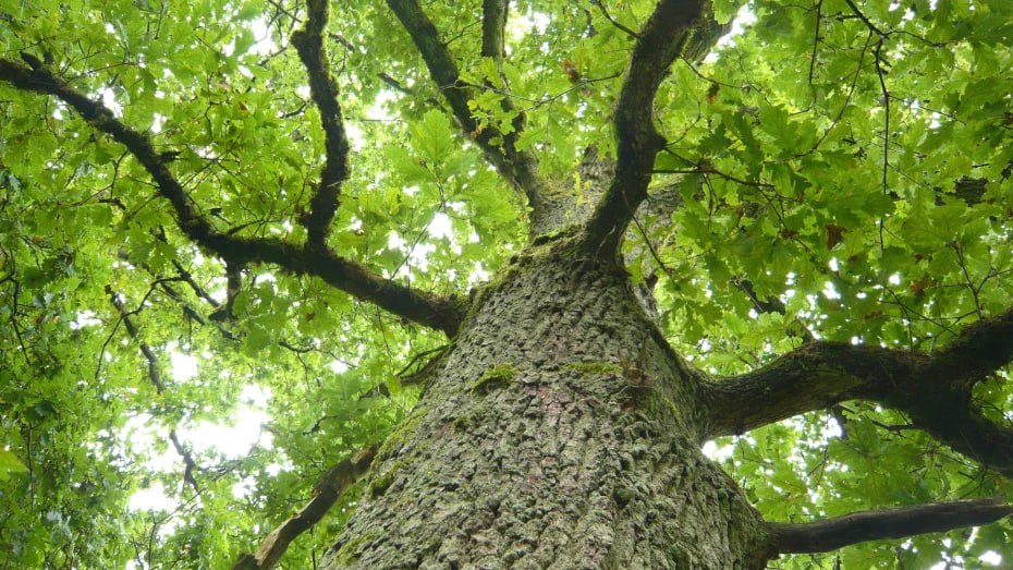 Воронежцу выплатили 450 тыс