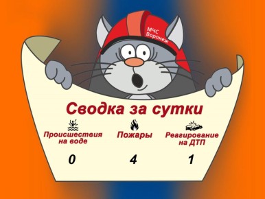 Оперативная сводка за сутки