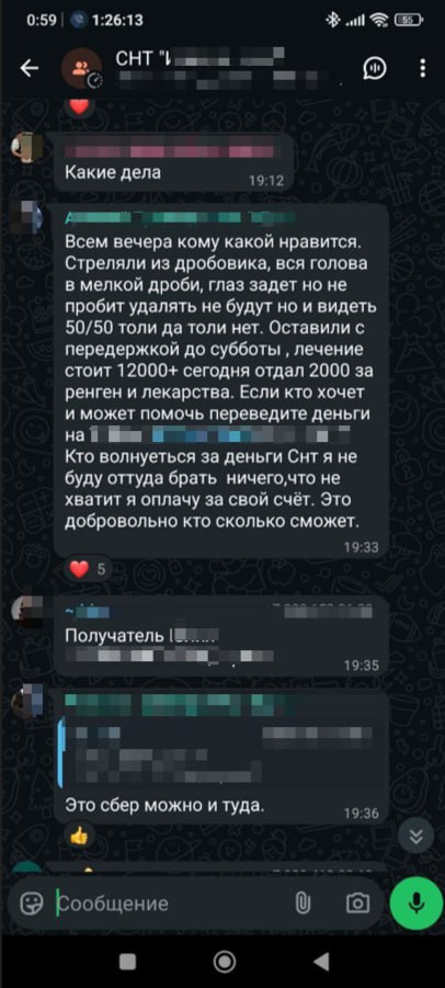 Неизвестный стрелок ранил собаку под Воронежем Неизвестный стрелок ранил собаку под Воронежем
