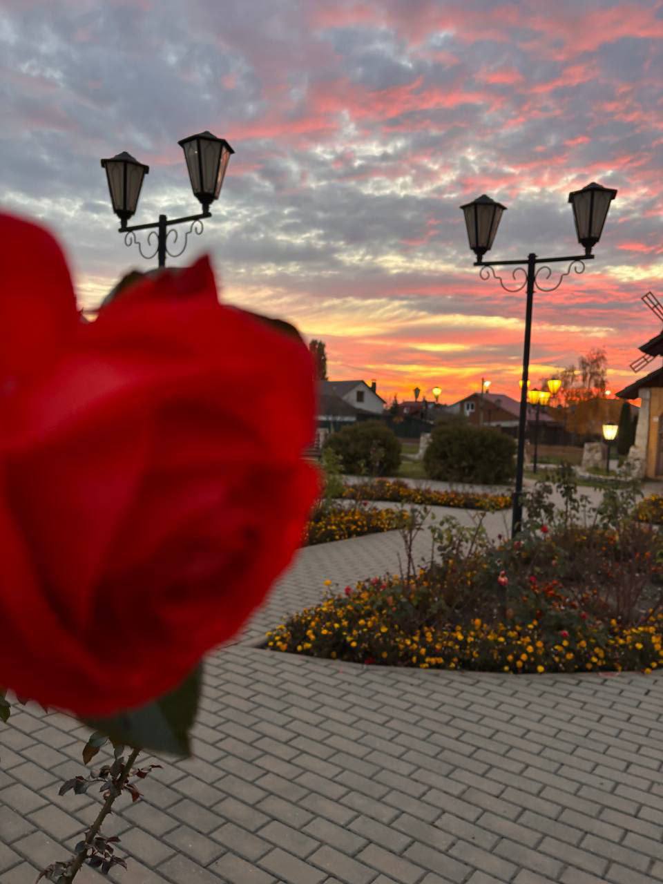 Невероятный огненный закат сегодня в Воронежской области Невероятный огненный закат сегодня в Воронежской области