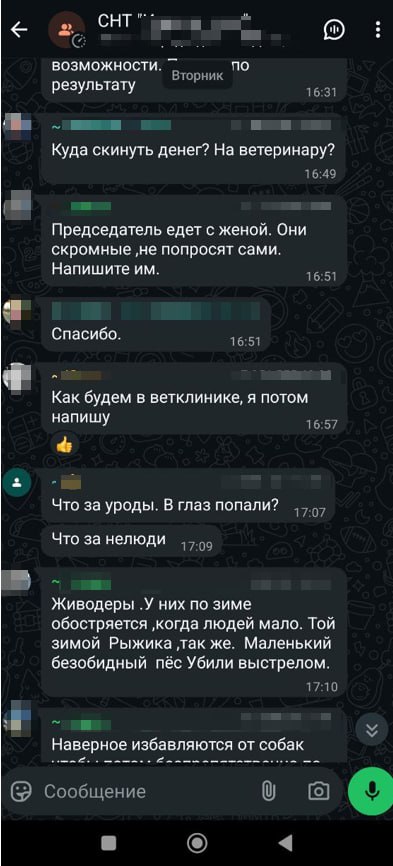 Неизвестный стрелок ранил собаку под Воронежем Неизвестный стрелок ранил собаку под Воронежем