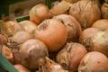Как хранить лук в погребе: не сгниет и останется сочным