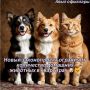 Новый законопроект ограничит количество домашних питомцев в квартирах