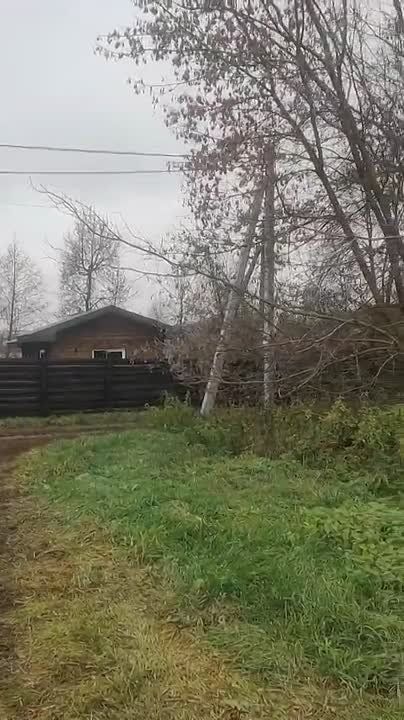 Аварийные столбы привели к поражению электричеством жительницы Воронежской области