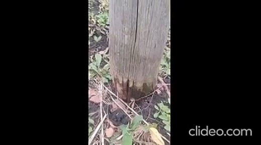 Аварийные столбы привели к поражению электричеством жительницы Воронежской области