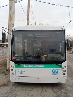 В Воронеже появились тематические троллейбусы в честь 65-летия открытия троллейбусного движения