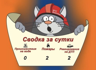 Оперативная сводка за сутки