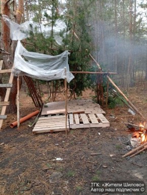 "Они рубили как могли": дети устроили хаос в Воронежском лесу