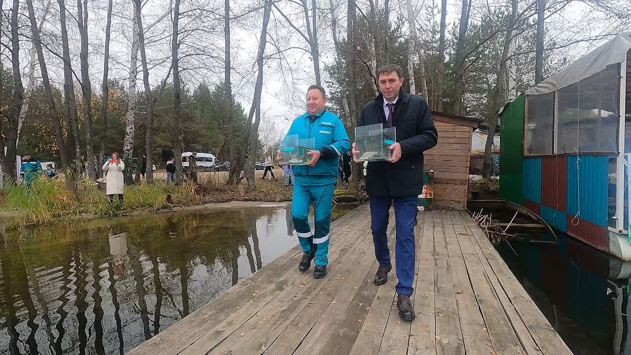 Сергей Петрин: 100 тысяч мальков сазана и толстолобика выпустили сегодня в наше водохранилище