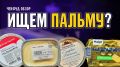 Как определить подлинное сливочное масло: интересное исследование