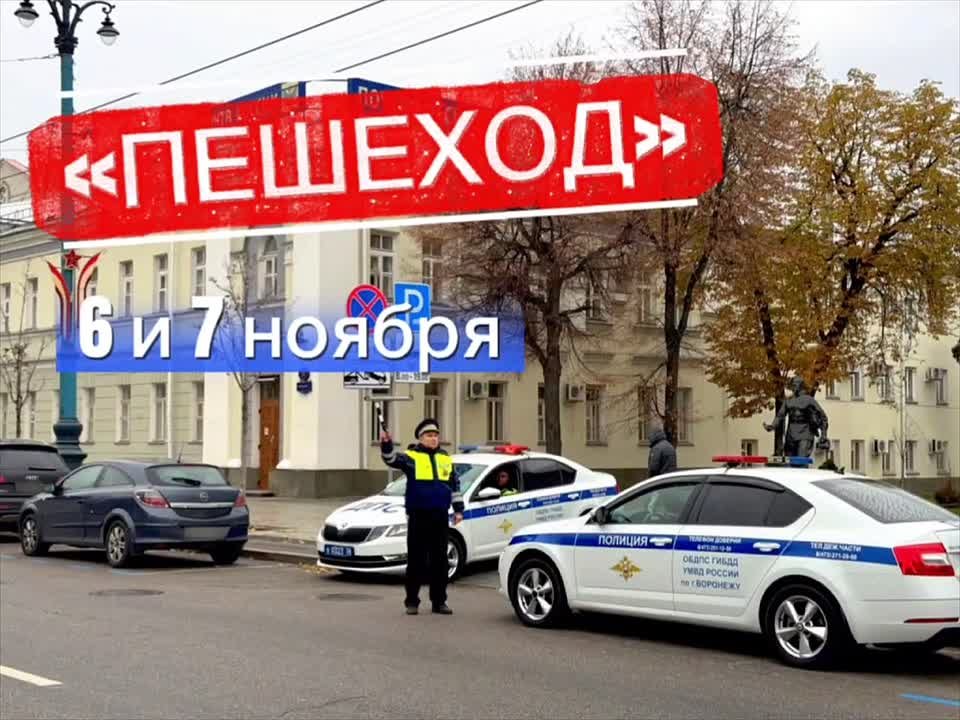 6и7ноября на территории региона Госавтоинспекция проведёт профилактическое мероприятие «Пешеход»