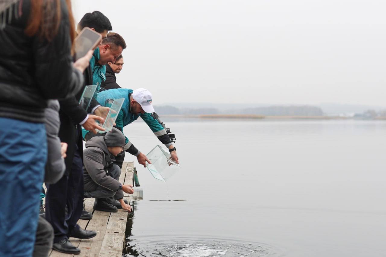 100 тысяч мальков выпустили в Воронежское водохранилище 100 тысяч мальков выпустили в Воронежское водохранилище
