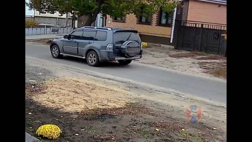 В Лисках 54-летний мужчина понесет наказание за сбитого котенка