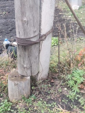 Две недели ждала ответа от «Россетей» жительница Воронежской области — в итоге она оказалась права