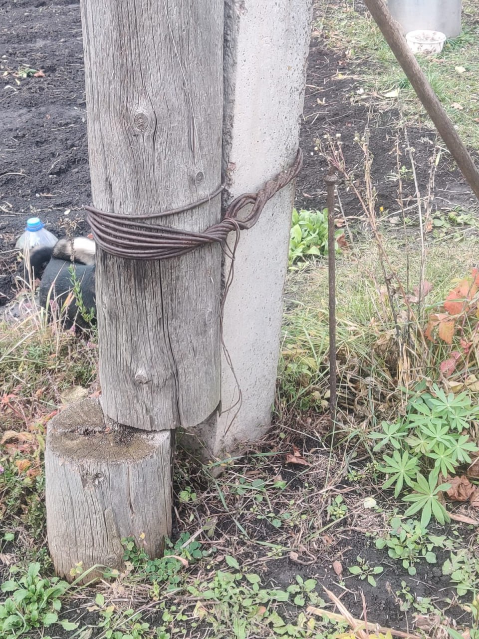 Две недели ждала ответа от «Россетей» жительница Воронежской области — в итоге она оказалась права