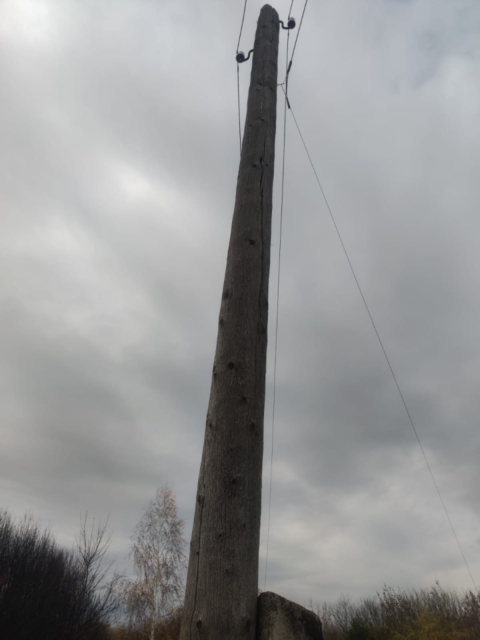 Две недели ждала ответа от «Россетей» жительница Воронежской области — в итоге она оказалась права Две недели ждала ответа от «Россетей» жительница Воронежской области — в итоге она оказалась права