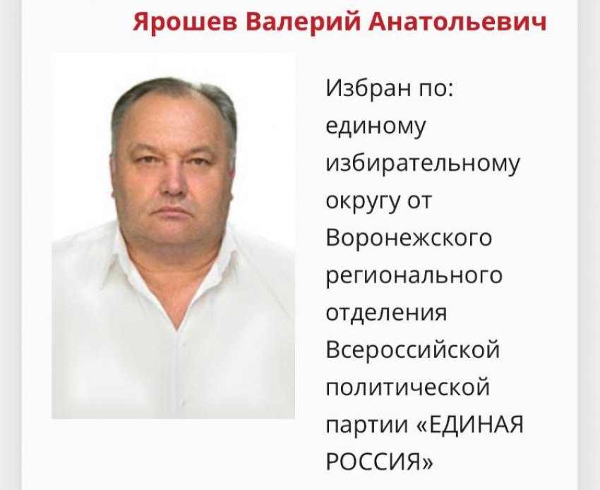 Подряд на ремонт «Горбатого» моста в Россоши достался компании депутата воронежской облдумы