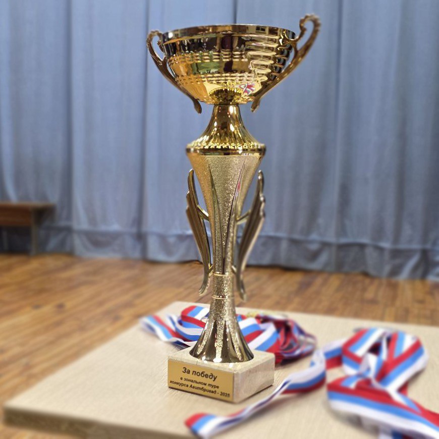 Зональный этап конкурса агитбригад в Левобережном районе г. Воронежа Зональный этап конкурса агитбригад в Левобережном районе г. Воронежа