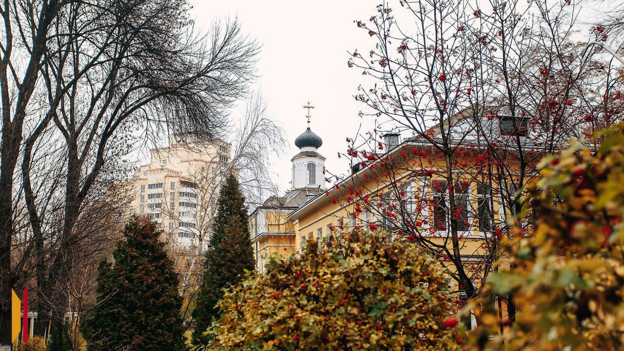 Сухая и пасмурная погода сохранится на выходных в Воронеже