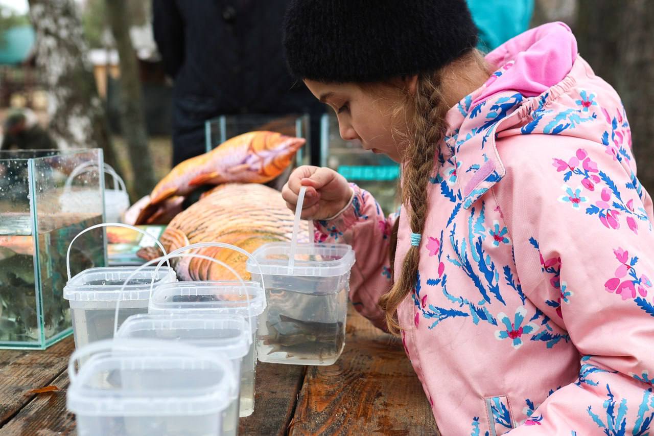100 тысяч мальков выпустили в Воронежское водохранилище 100 тысяч мальков выпустили в Воронежское водохранилище