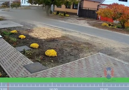 Сбил котенка и уехал: бесчеловечный поступок водителя попал на видео в Воронежской области