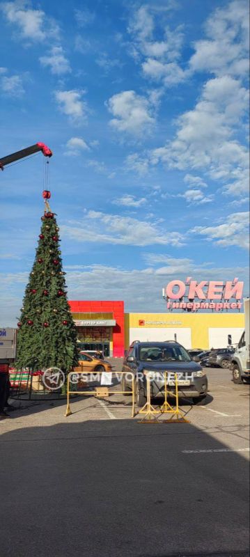 В Воронеже уже устанавливают новогодние елки