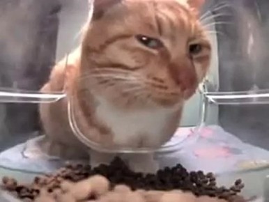 Ты кажется что-то перепутал