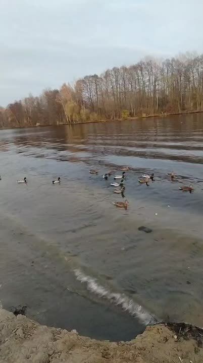 Немного релакса в ленту от нашей читательницы