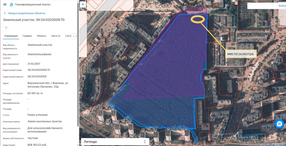 Воронежцы помогли спасти сосны в «Северном лесу»
