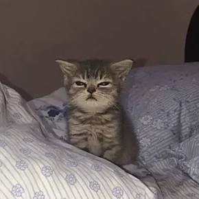 Простите, что по больному, но завтра на работу