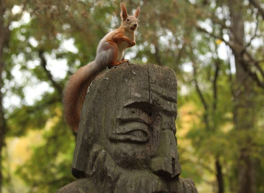 В Воронеже ищут эскизы скульптур для восстановления Поляны сказок в парке «Танаис» В Воронеже ищут эскизы скульптур для восстановления Поляны сказок в парке «Танаис»
