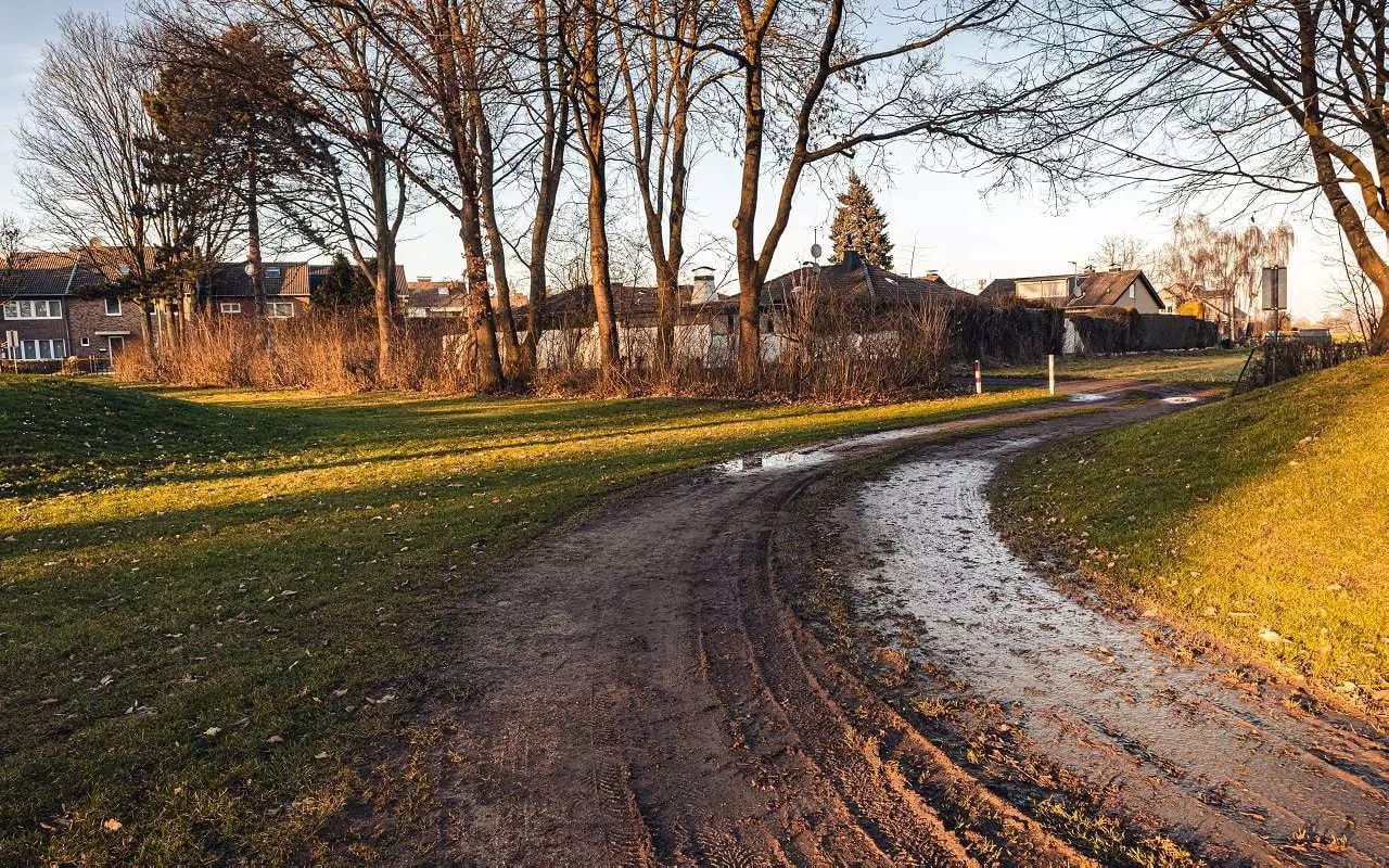 Третий в текущем году случай заражения бешенством животного выявили в Воронеже