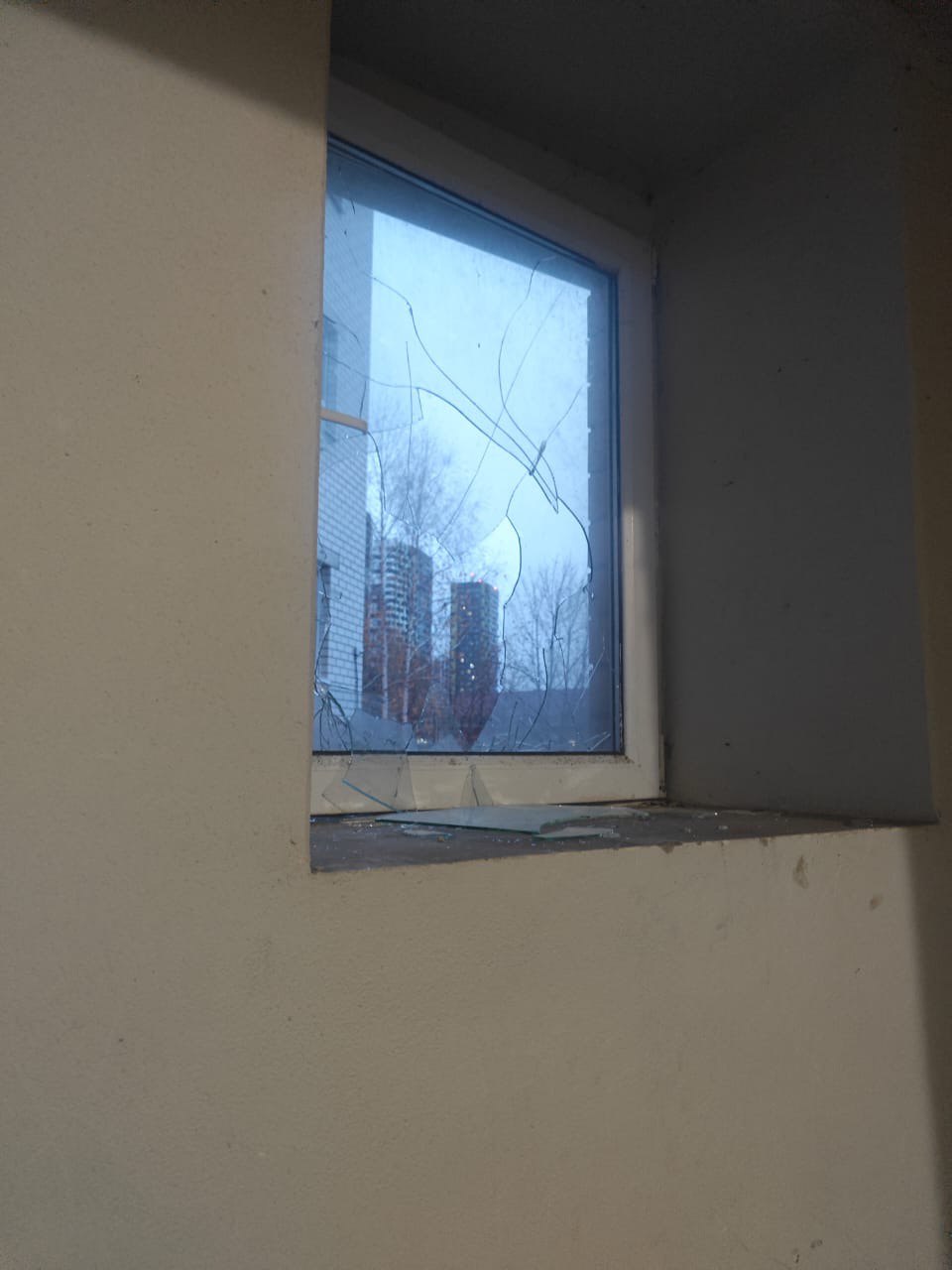 «Стреляли, кричали, били окна»: неадекватная пара устроила погром в Воронеже «Стреляли, кричали, били окна»: неадекватная пара устроила погром в Воронеже